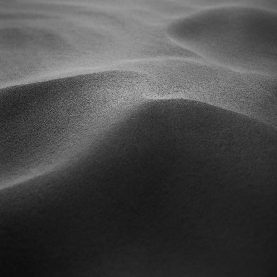 Close-up texture of carpet fibres showing soil particles and matted pile before steam extraction treatment